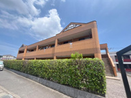 ＴＯＭＡＲＡ　横尾の画像