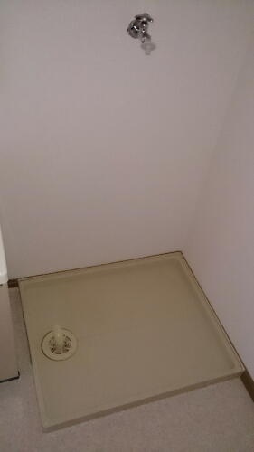 アヴェニ－ルのその他