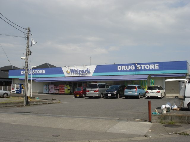 【周辺】 | ファインハイムＳＡＴＯ　Ⅱ | ドラッグストア　ウェルパークまで458ｍ