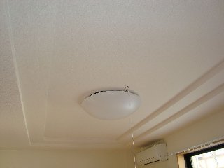 フラワーハウスの居間・リビング|リビング照明