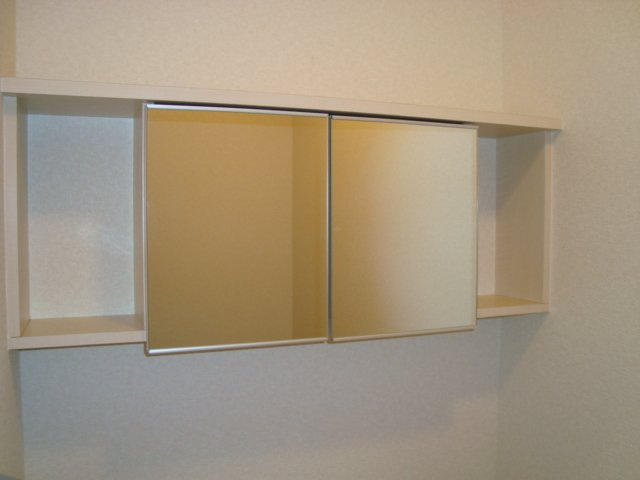 フラワーハウスの収納|トイレ収納（鏡付）