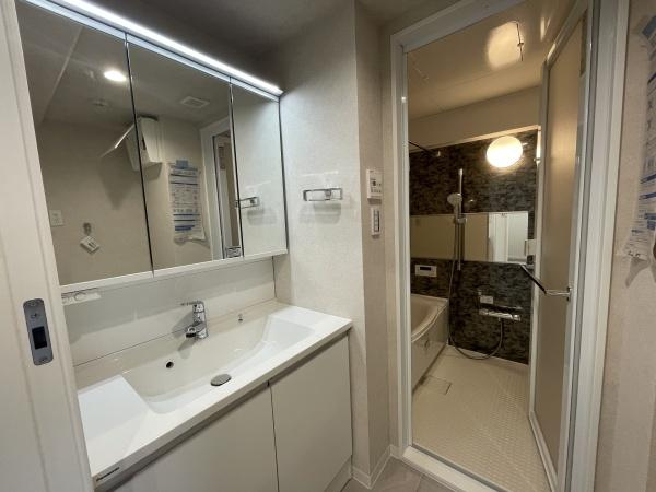 グランパーク深沢の独立洗面台