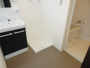 神戸市垂水区平磯２丁目のアパートの洗面所