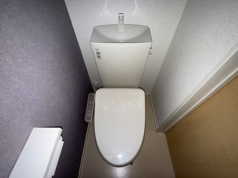 ブルーシャトーの洗面所