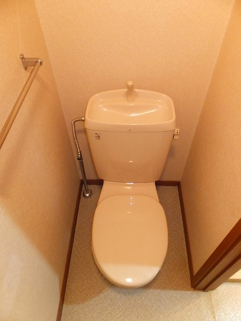 エントピア名和北Cのトイレ