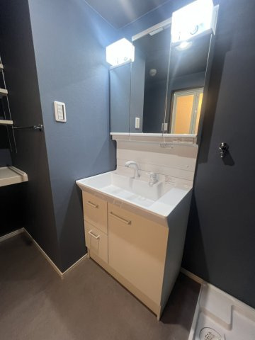 メゾン・ド・ラヴィの洗面所