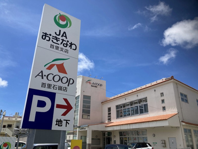 【その他】 | ラフィーネ石嶺