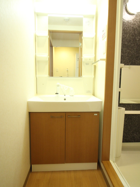 サンライト東条の独立洗面台|シャワー付き洗面台