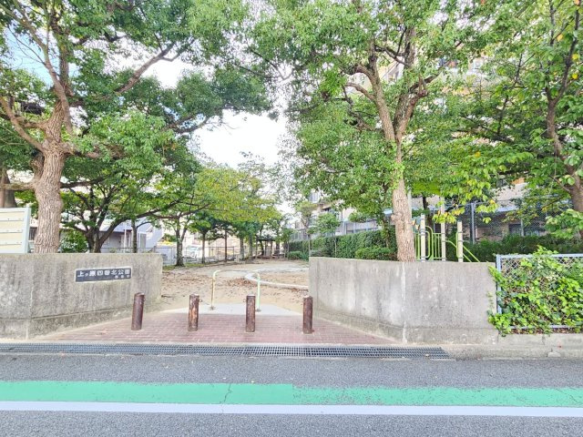 【周辺】の画像