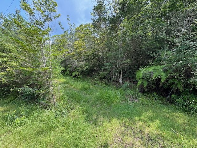 加東市秋津　土地の外観