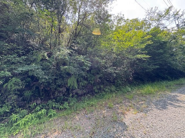 加東市秋津　土地の外観