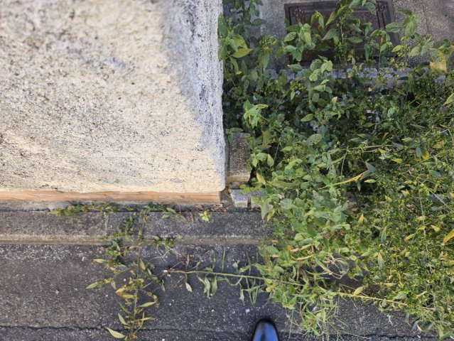 太秦安井車道町