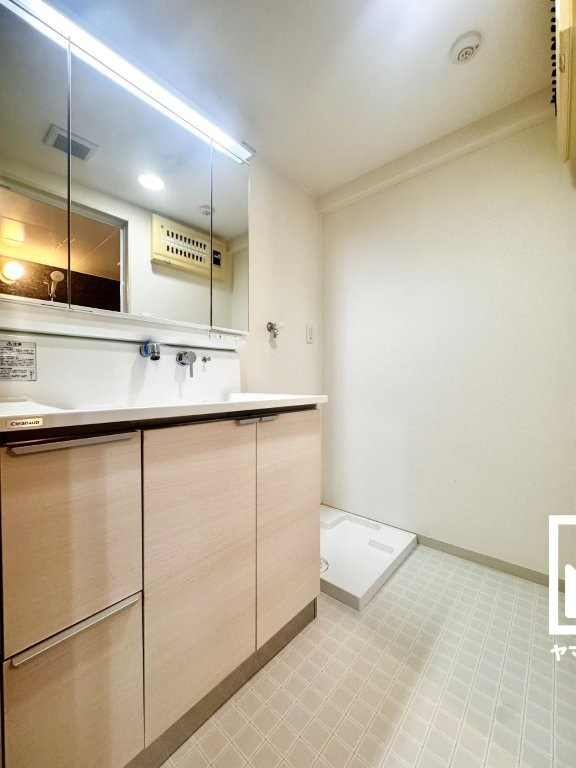 シンフォニー桃山の洗面所