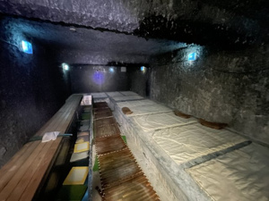 【内装】 | 2025年10月10日撮影