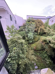 【庭】 | 2025年10月10日撮影