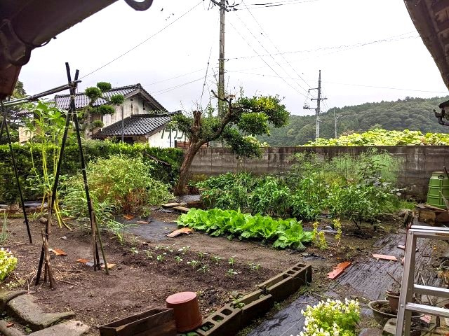 大山町加茂中古戸建の庭