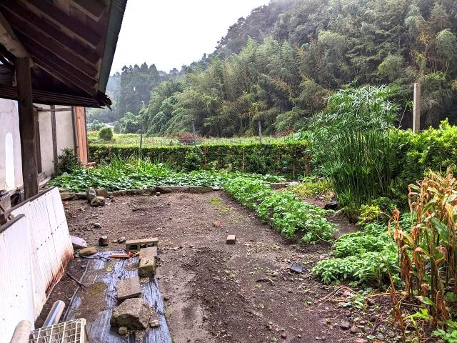 大山町加茂中古戸建の庭