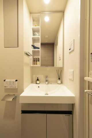 プラウドフラット南品川の独立洗面台