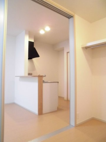 フラン・フジのその他