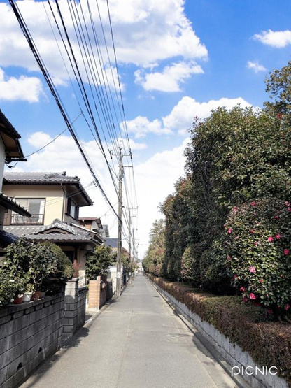 【前面道路含む現地写真】