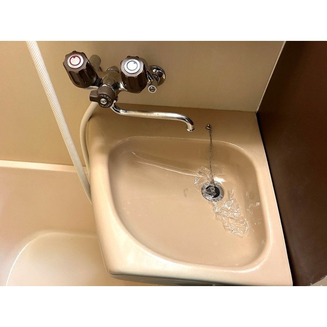 テラス大成の洗面所|ゆったりとスペースのある洗面所