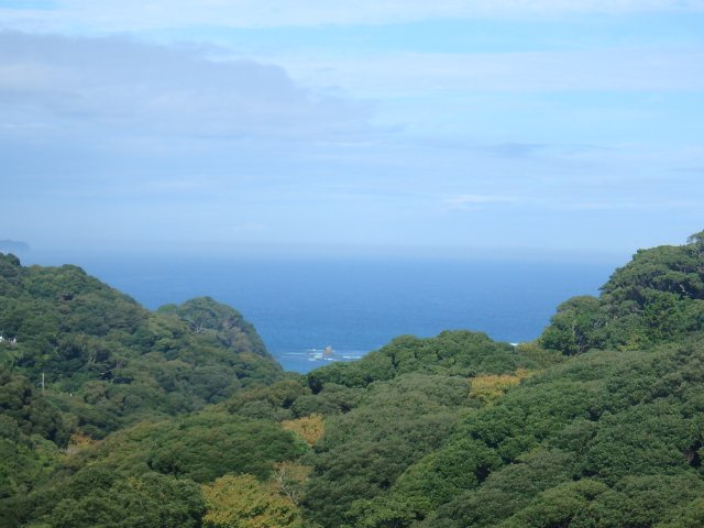 S1743M　アーバンヒルズ下田リゾートの展望