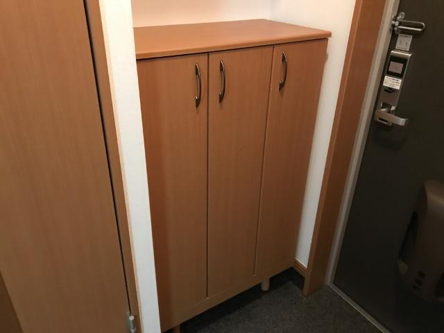 エルシオンⅡの収納|下駄箱