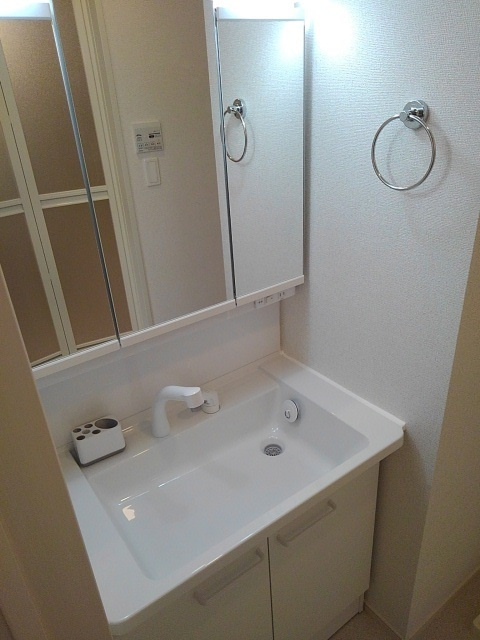 メゾン・ド・ターキーの洗面所|洗面所