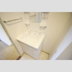 メゾン・ド・楠の洗面所