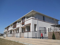 リリー・ヴァリーⅧの画像