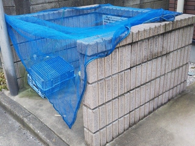 レオネクストシーズのその他