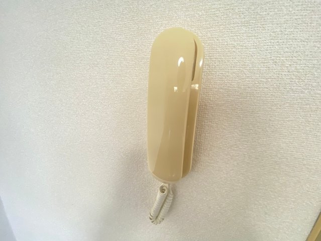 【セキュリティ】