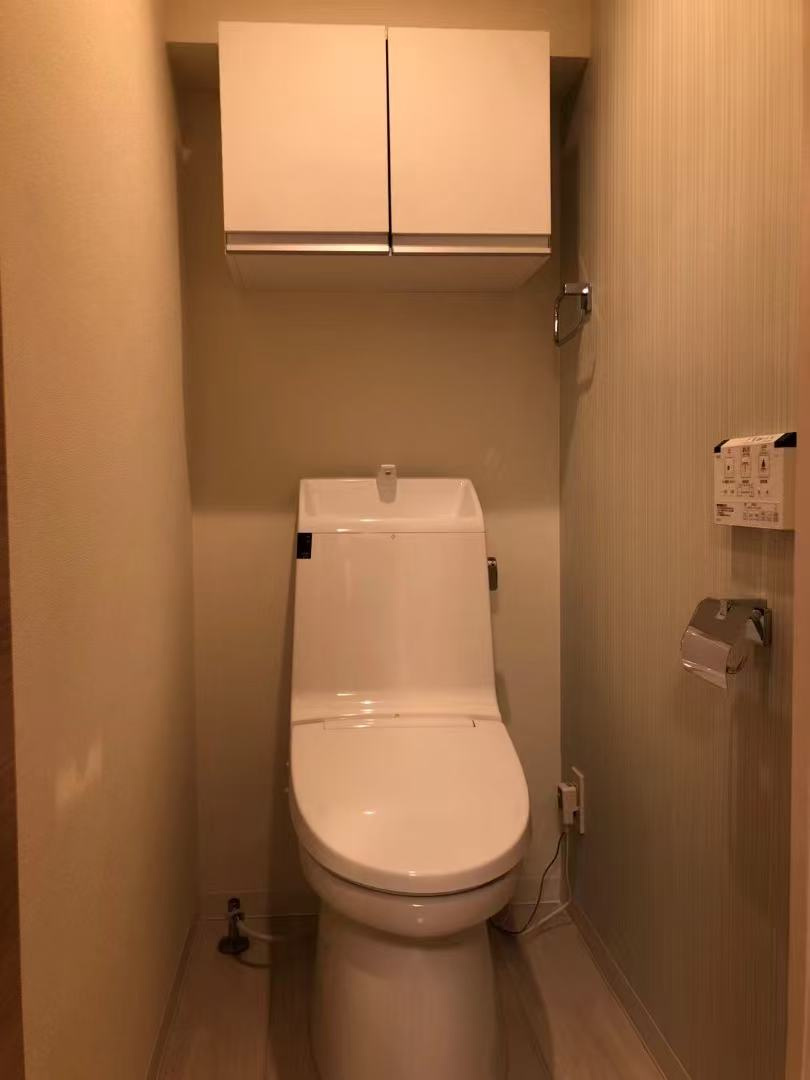 ハイム秋葉原のトイレ|落ち着いた色調のトイレです