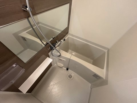 アドバンス大阪ビヤンの浴室