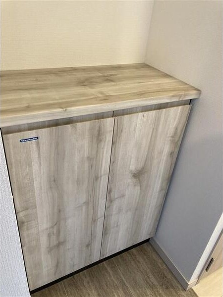 S-RESIDENCE金山altanoの収納