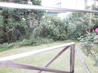 【展望】 | バルコニーからの眺望。