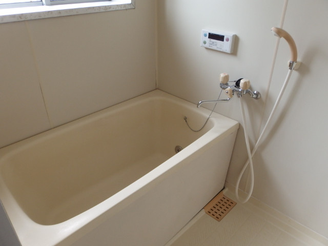 リバーストーン（東大友町）の浴室