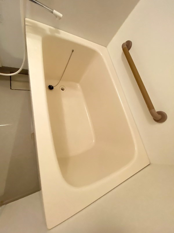 福岡市中央区白金１丁目の賃貸マンションの浴室