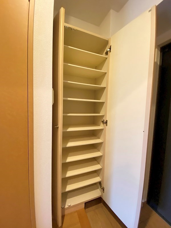 福岡市中央区白金１丁目の賃貸マンションの収納