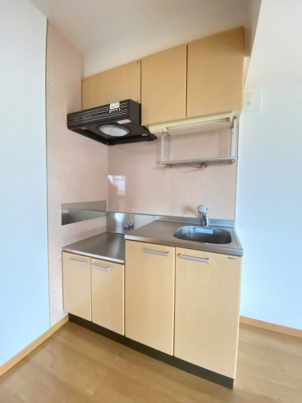福岡市中央区白金１丁目の賃貸マンションのキッチン