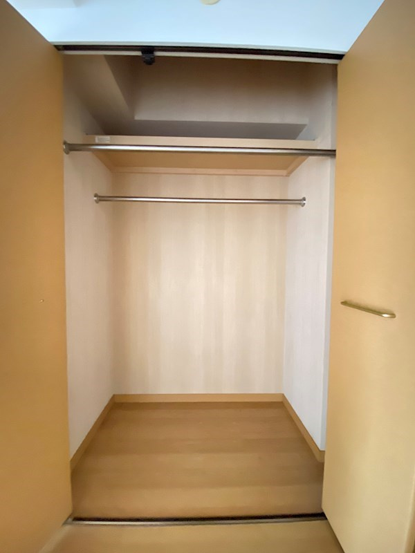 福岡市中央区白金１丁目の賃貸マンションの収納