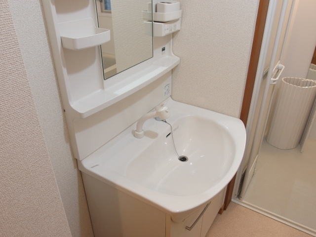 ワンスリーマンションの洗面所