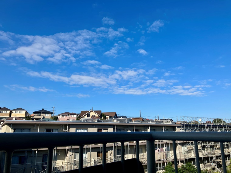 柏グリーンハイツＧ棟の展望