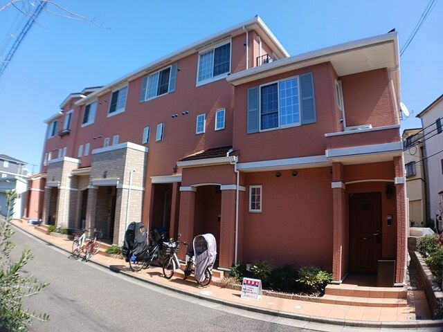 ストレリチア　ジャンセアの外観