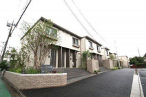 ルークラティブ蓮根の画像