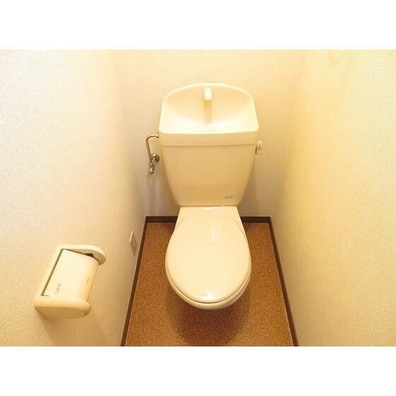 ベルクハイムのトイレ