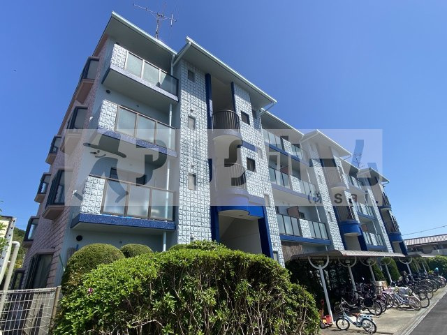 グレープコート