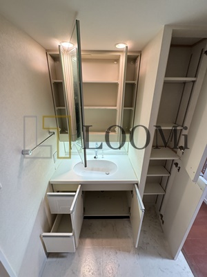 【独立洗面台】 | フロンティアタワー日本橋 | フロンティアタワー日本橋　独立洗面台