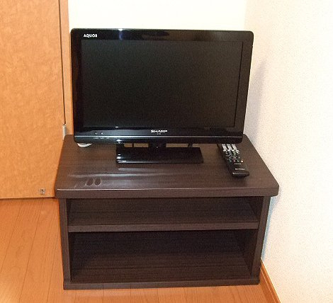 レオパレスタートルクレインⅡのその他