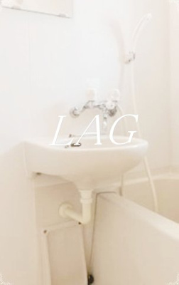 【洗面所】 | バーミープレイス阿佐ヶ谷Ⅱ | 洗面台です。